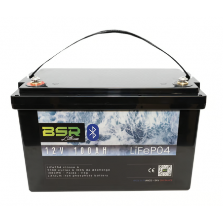 Lithiumbatterie BSR Monoblock LifePo4 mit Ladegerät