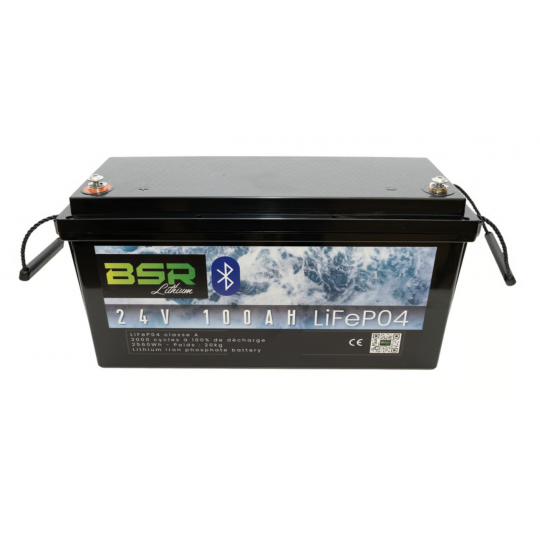 Lithium Battery BSR Monoblock LifePo4 with Charger