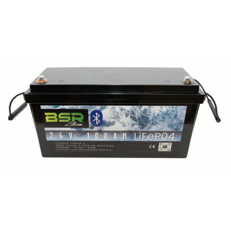 Lithiumbatterie BSR Monoblock LifePo4 mit Ladegerät