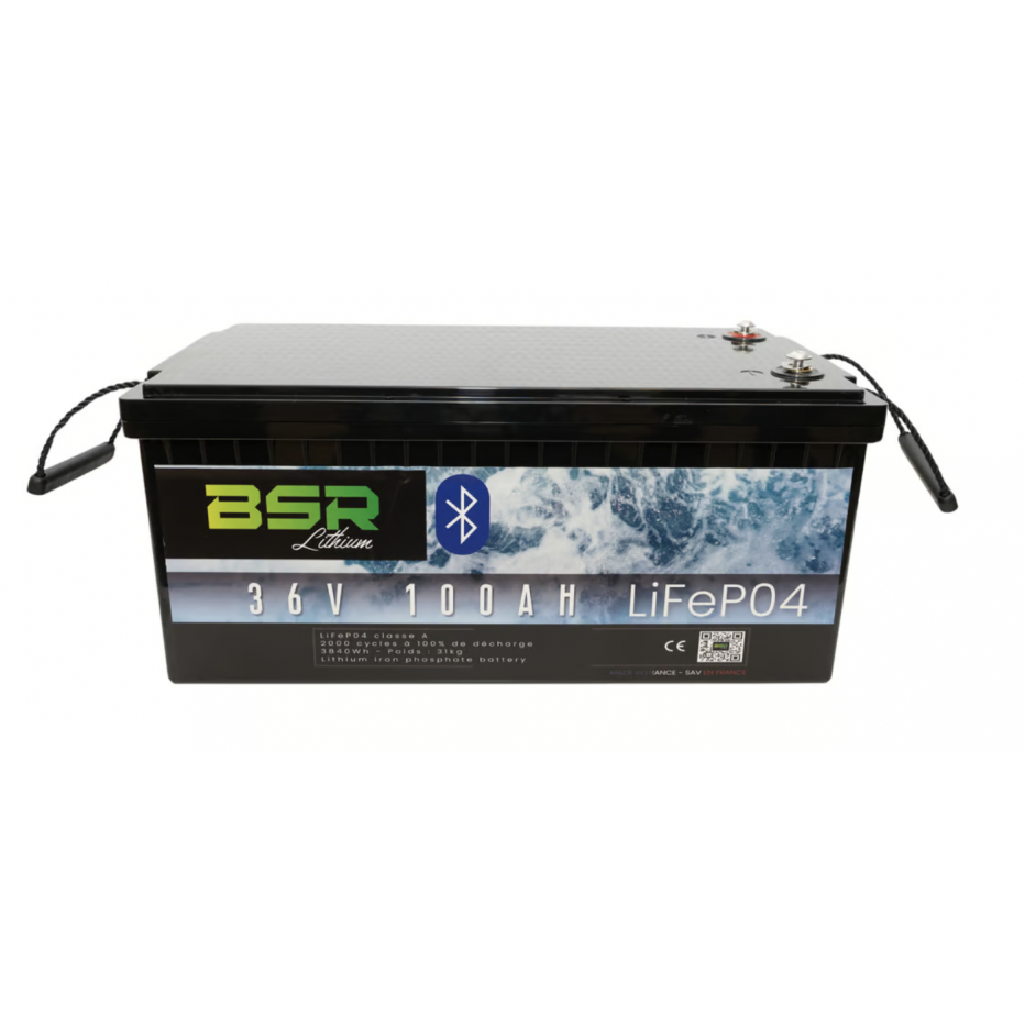 Batería de Litio BSR Monobloque LifePo4 con Cargador