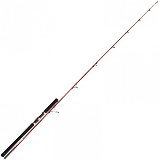 Spinnruten Tenryu Light 60 Lb