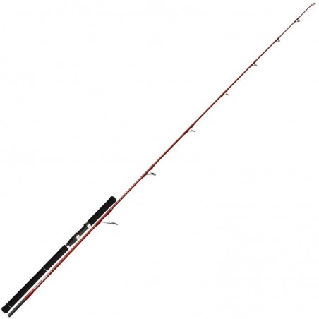 Spinning Rod Tenryu Light 60 Lb