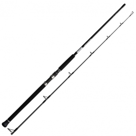 Spinning Rod Shimano Grappler Type C