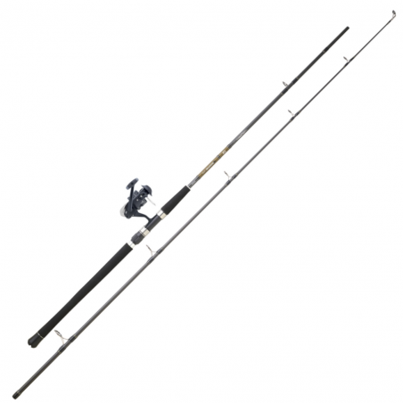 Combo Spinning Daiwa Set Wels 06