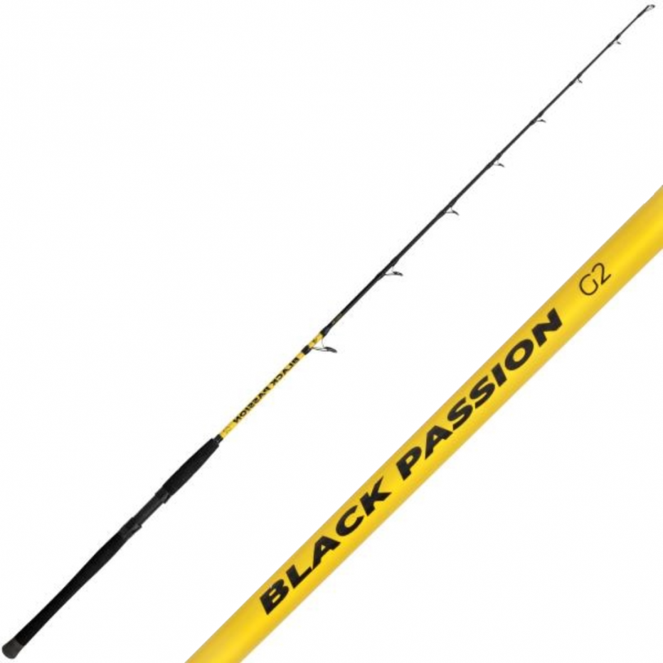 Baitcast Ruten Black Cat Black Passion G2 Vertikal