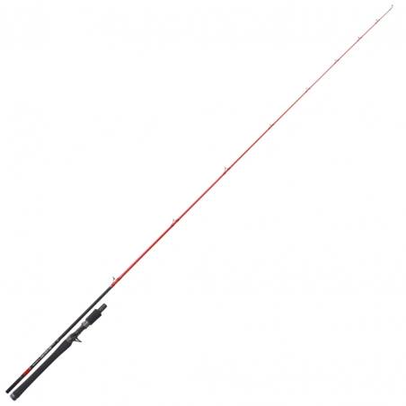 Caña Casting Tenryu Injection BC 76 H
