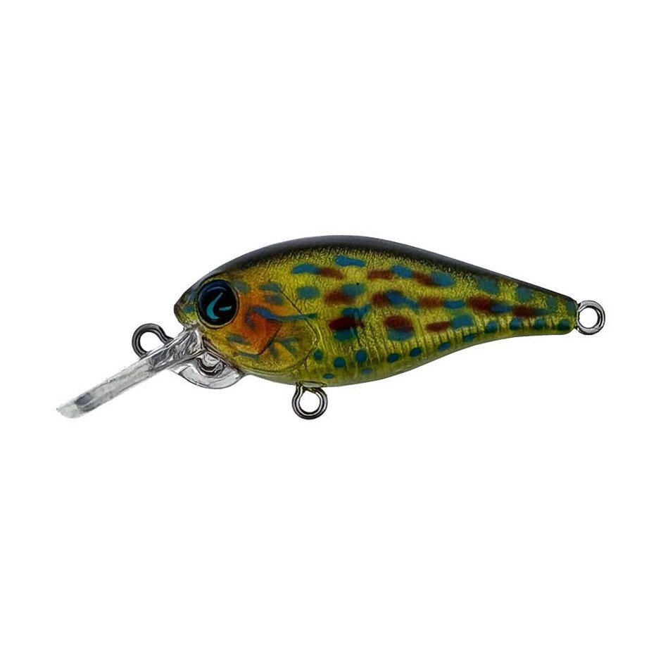 Poisson Nageur River2Sea Biggie 37 DD