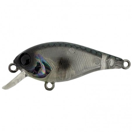 Poisson Nageur River2Sea Biggie 37 SD