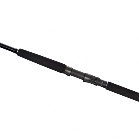Spinning Rod Shimano CurrentSniper BB
