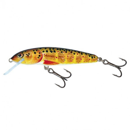 Wobbler Salmo Minnow Schwimmend - 5cm
