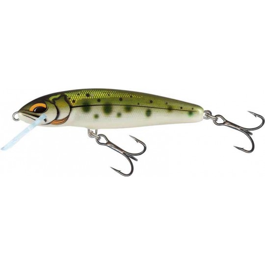Hard bait Salmo Floating Minnow - 5cm