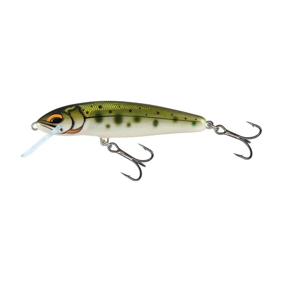 Señuelo Duro Salmo Minnow Flotante 5cm