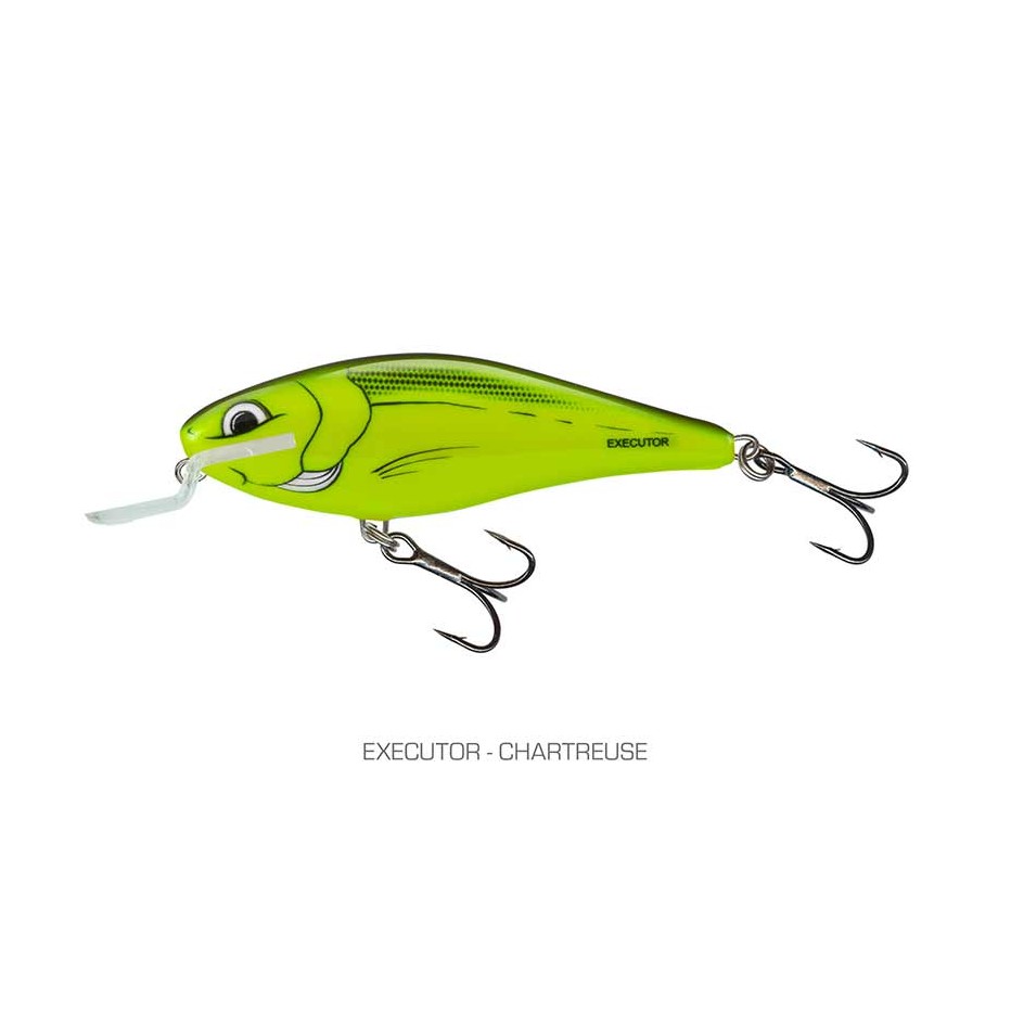 Poisson Nageur Salmo Executor