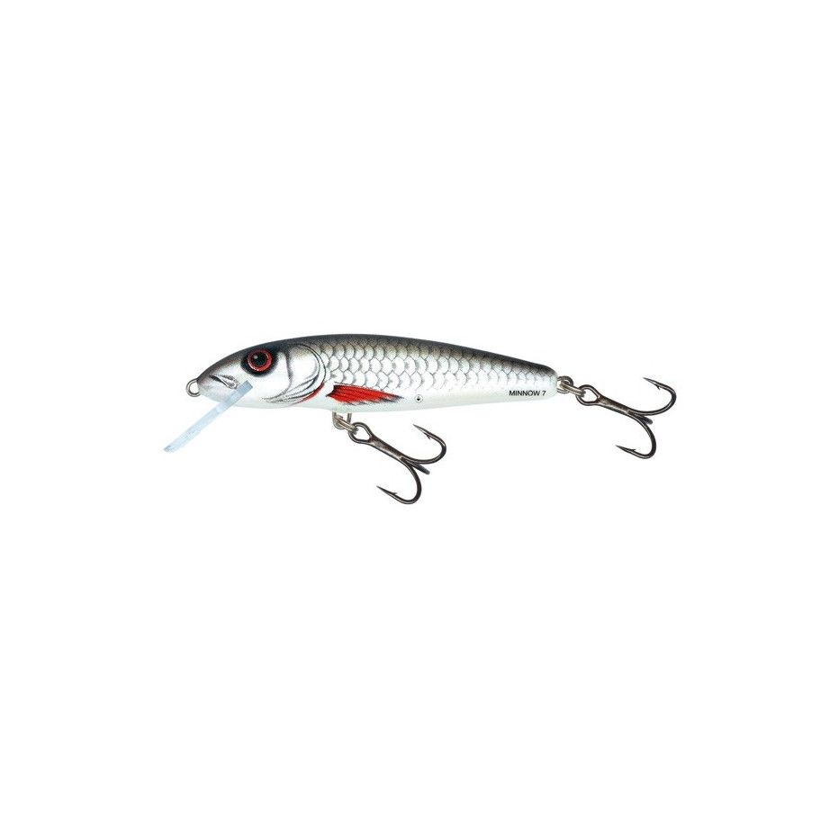 Wobbler Salmo Minnow Schwimmend 6cm