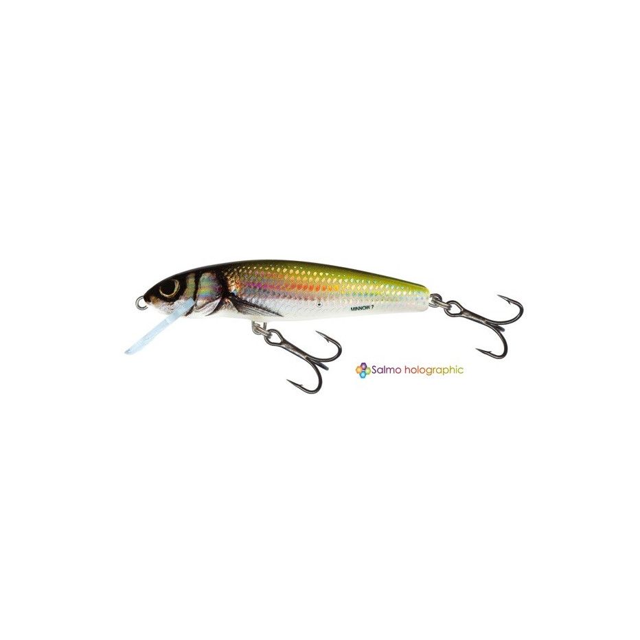 Wobbler Salmo Minnow Schwimmend 6cm