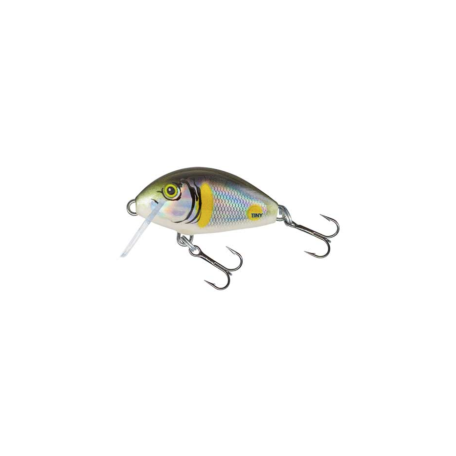 Hard bait Salmo Tiny 3cm