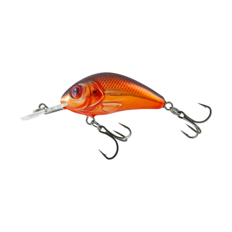 Poisson Nageur Salmo Rattlin Hornet Flottant 6,5cm