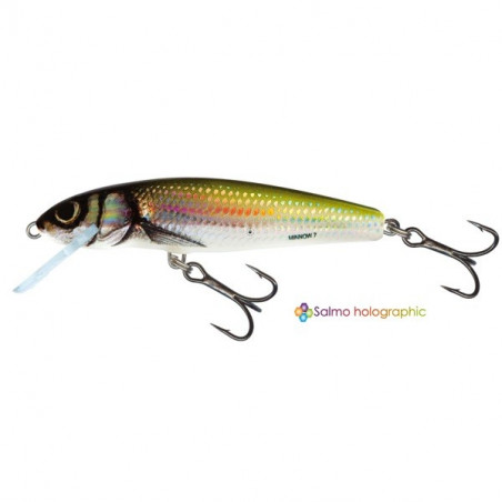 Poisson Nageur Salmo Minnow Coulant 6cm