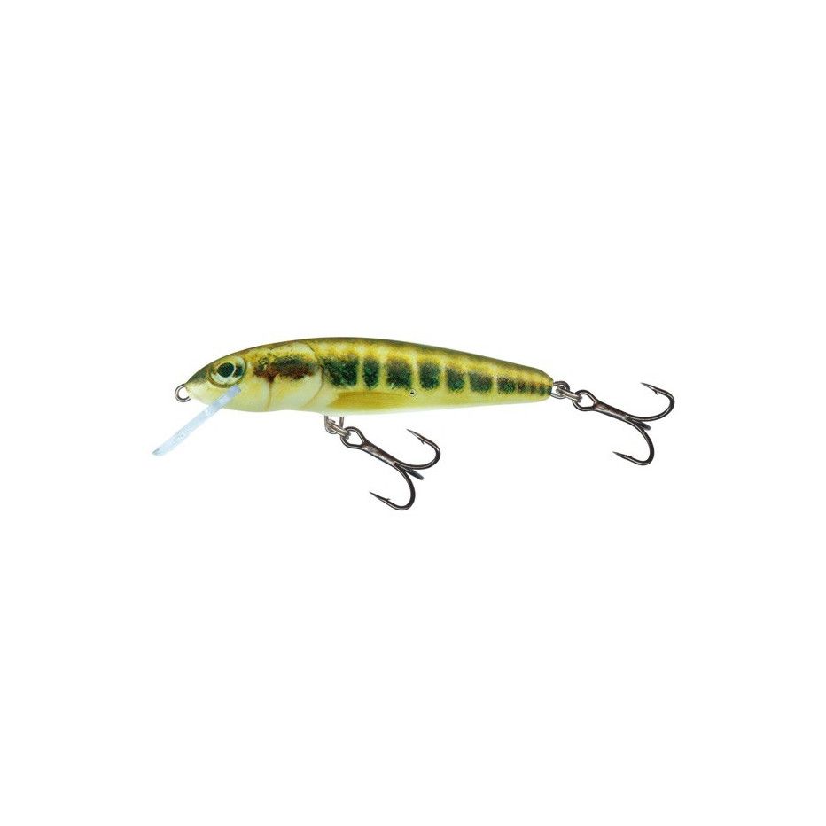 Poisson Nageur Salmo Minnow Coulant 6cm