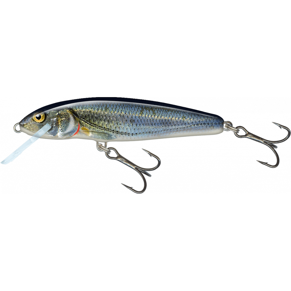 Hard bait Salmo Sinking Minnow 6cm