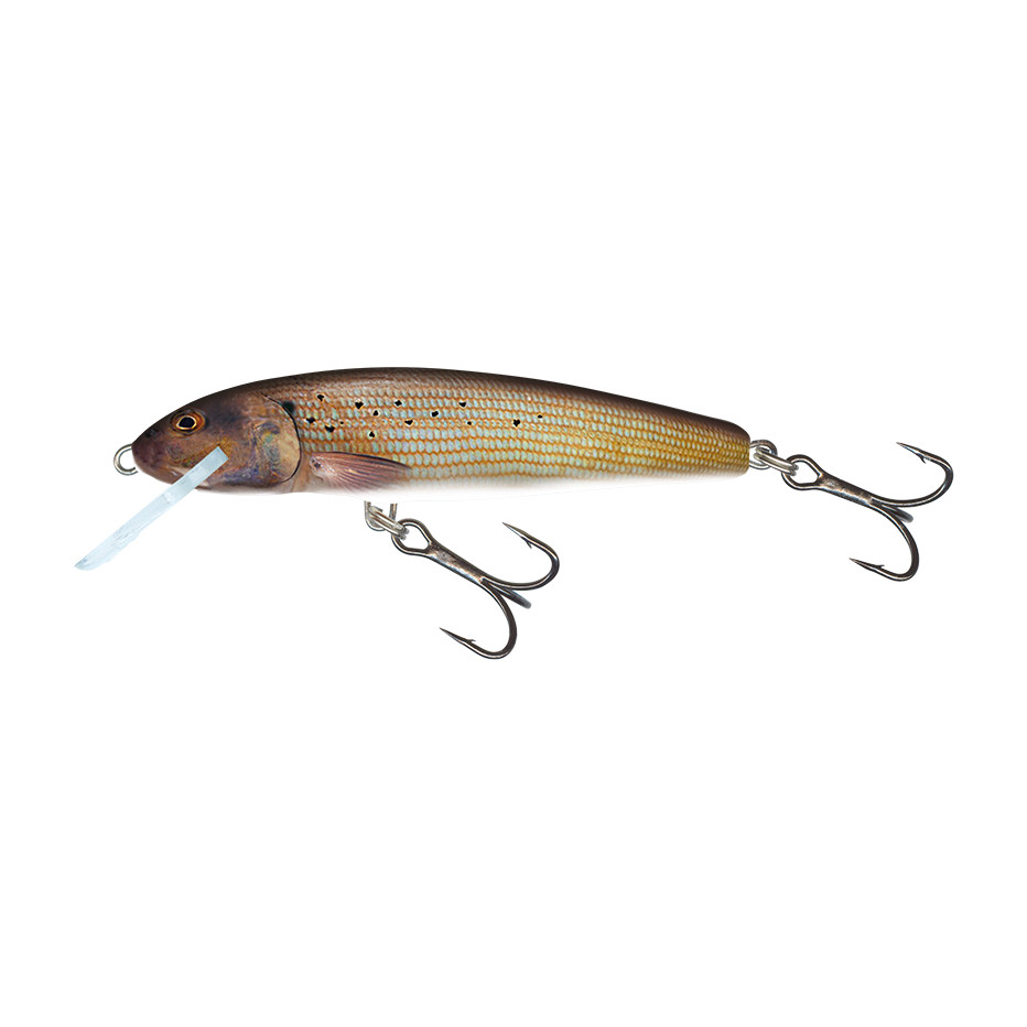 Wobbler Salmo Minnow Sinkend 6cm