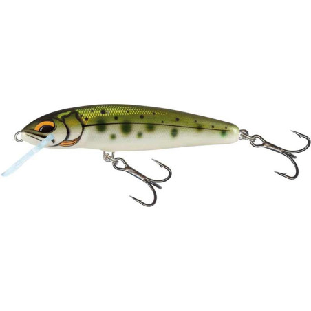 Wobbler Salmo Minnow Sinkend 6cm