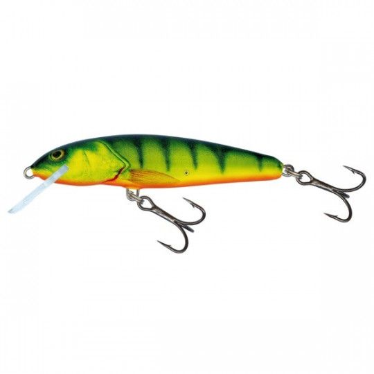 Hard bait Salmo Minnow - Floating
