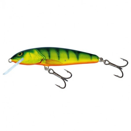 Poisson Nageur Salmo Minnow - Flottant