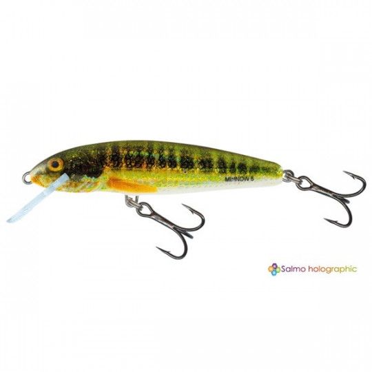 Poisson Nageur Salmo Minnow - Flottant