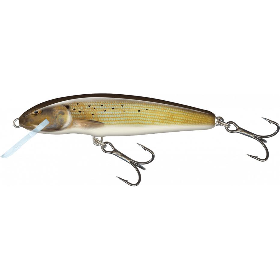 Señuelo Duro Salmo Minnow Flotante 7cm