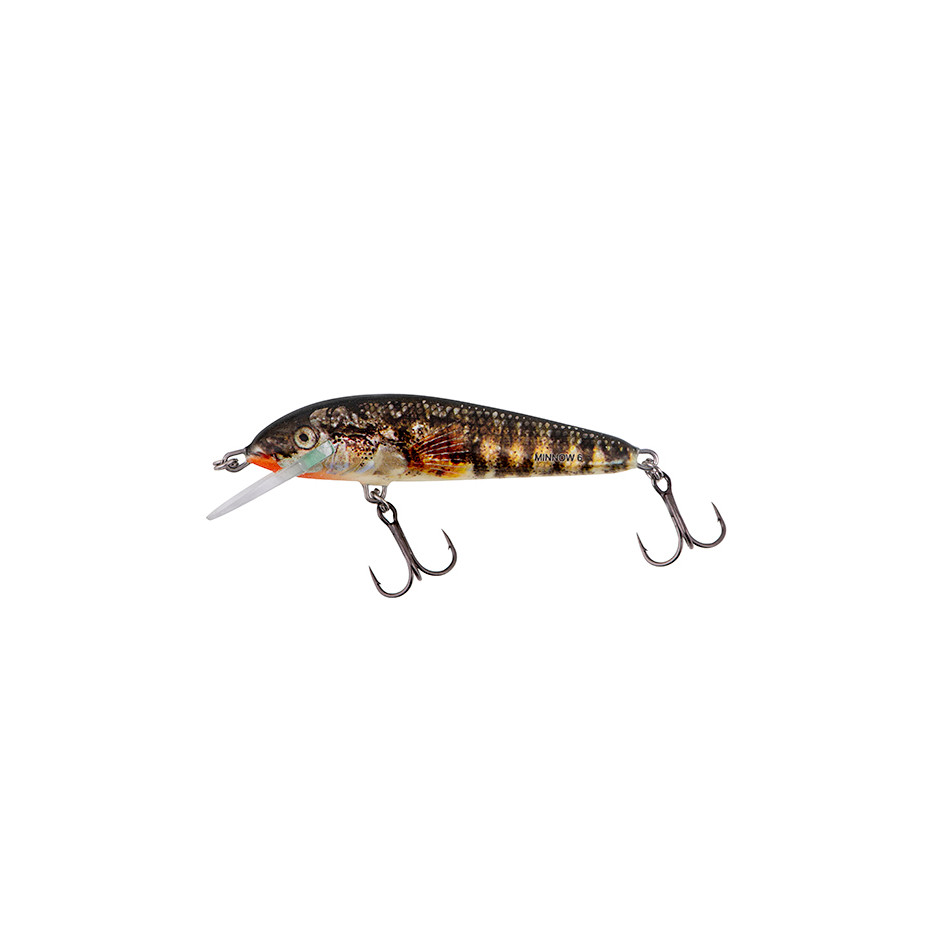 Wobbler Salmo Minnow Schwimmend 7cm