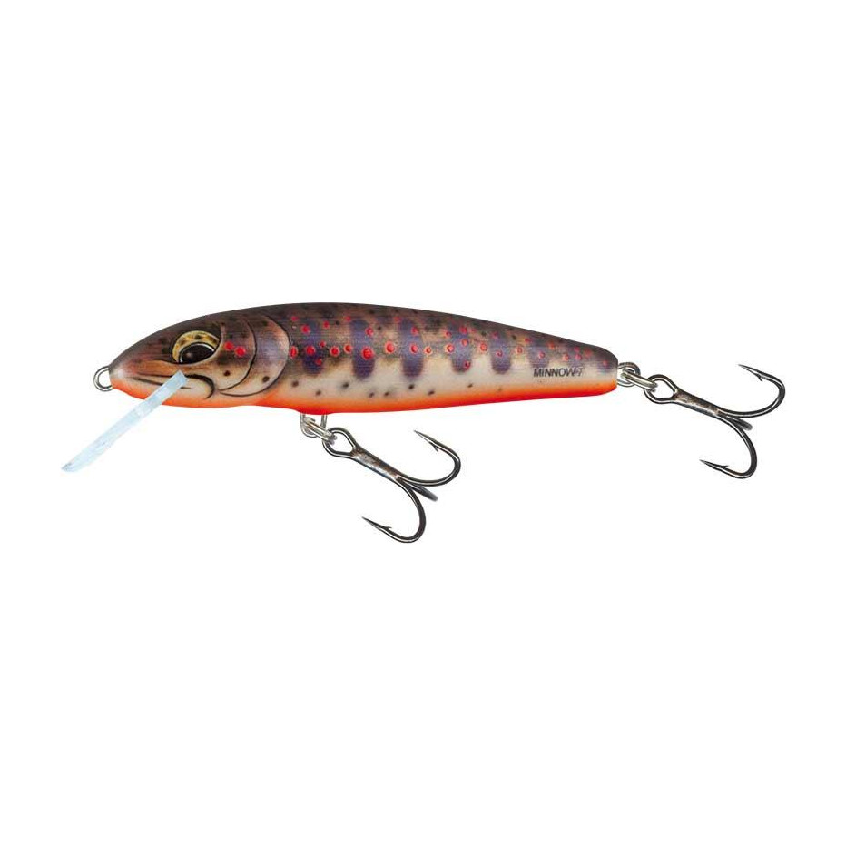 Hard bait Salmo Sinking Minnow 7cm