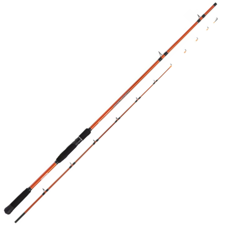 Canne Spinning Shimano Beastmaster Tataki