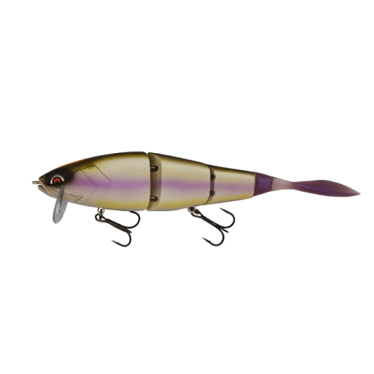 Poisson Nageur Galapagos Grace 210 L