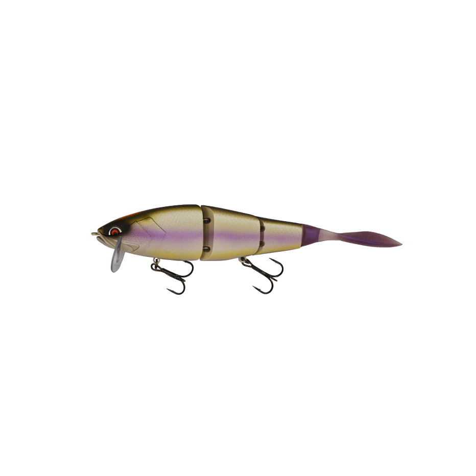 Poisson Nageur Galapagos Grace 210 L