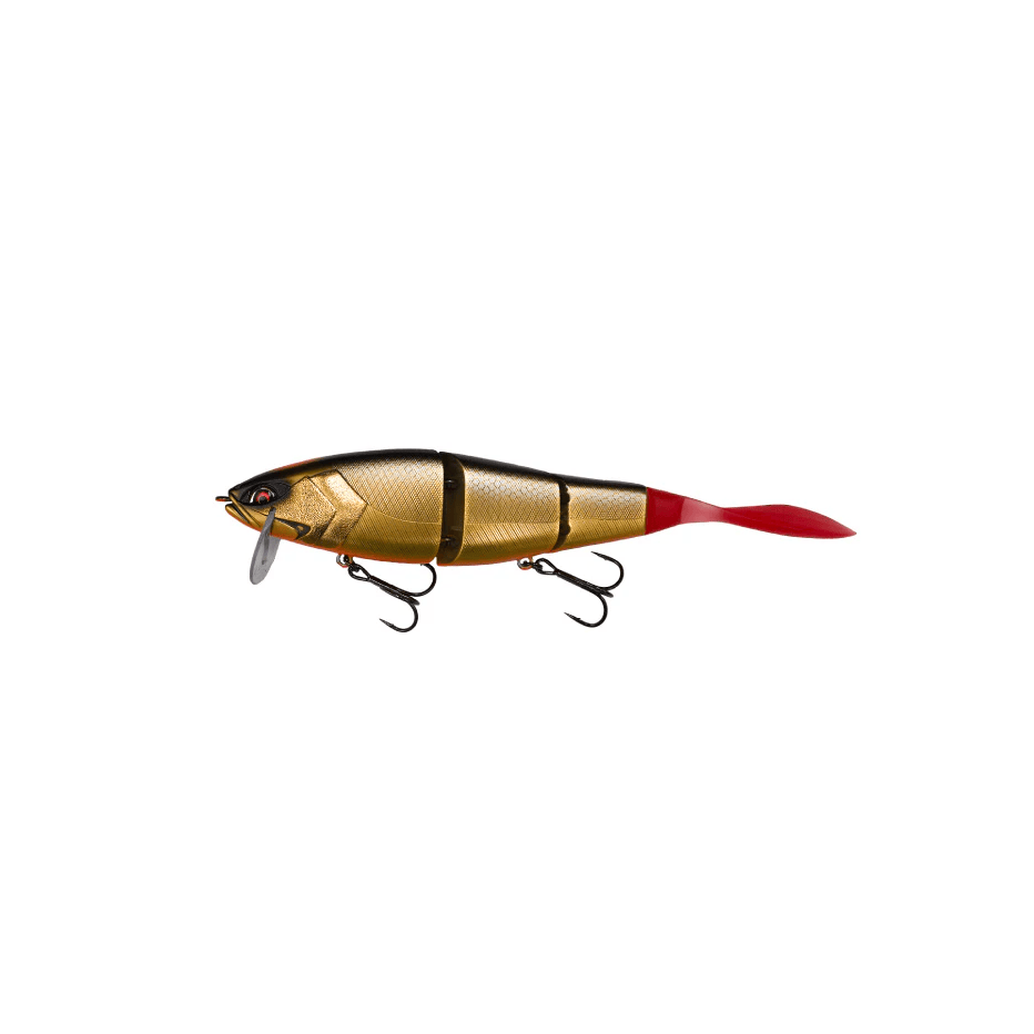 Poisson Nageur Galapagos Grace 210 L