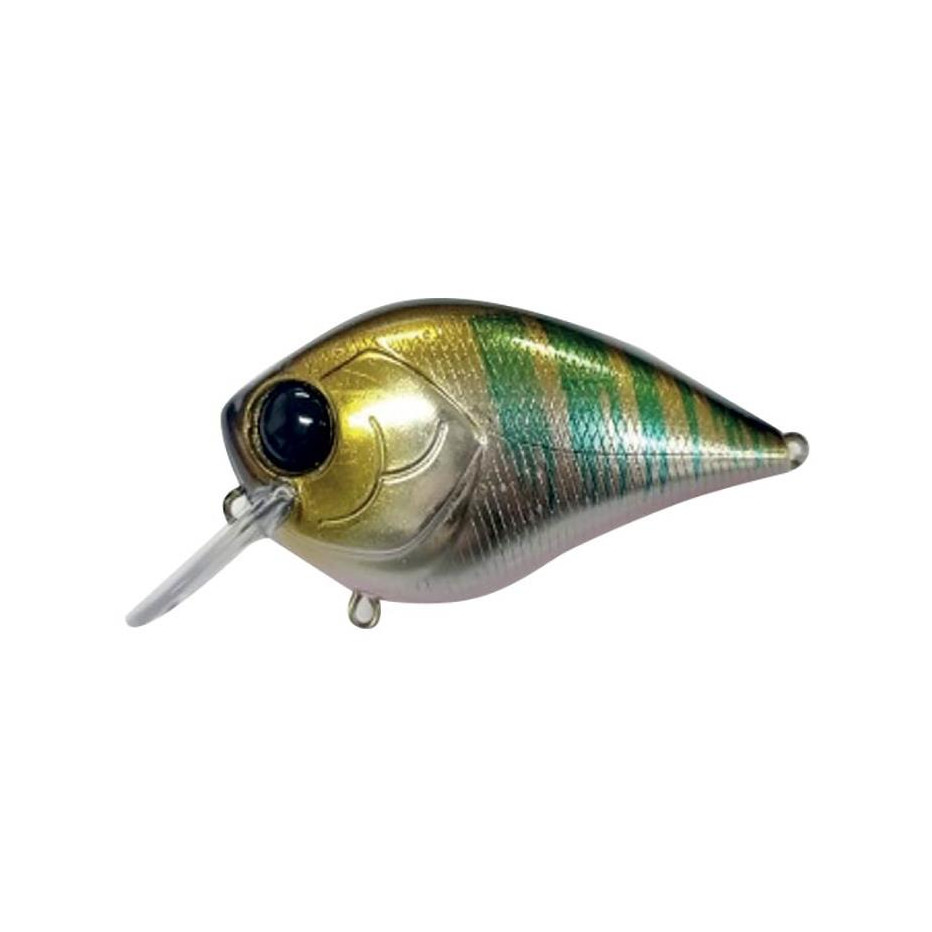 Poisson Nageur Damiki BTC 60