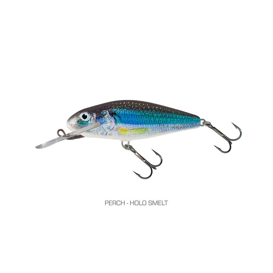 Poisson Nageur Salmo Perch