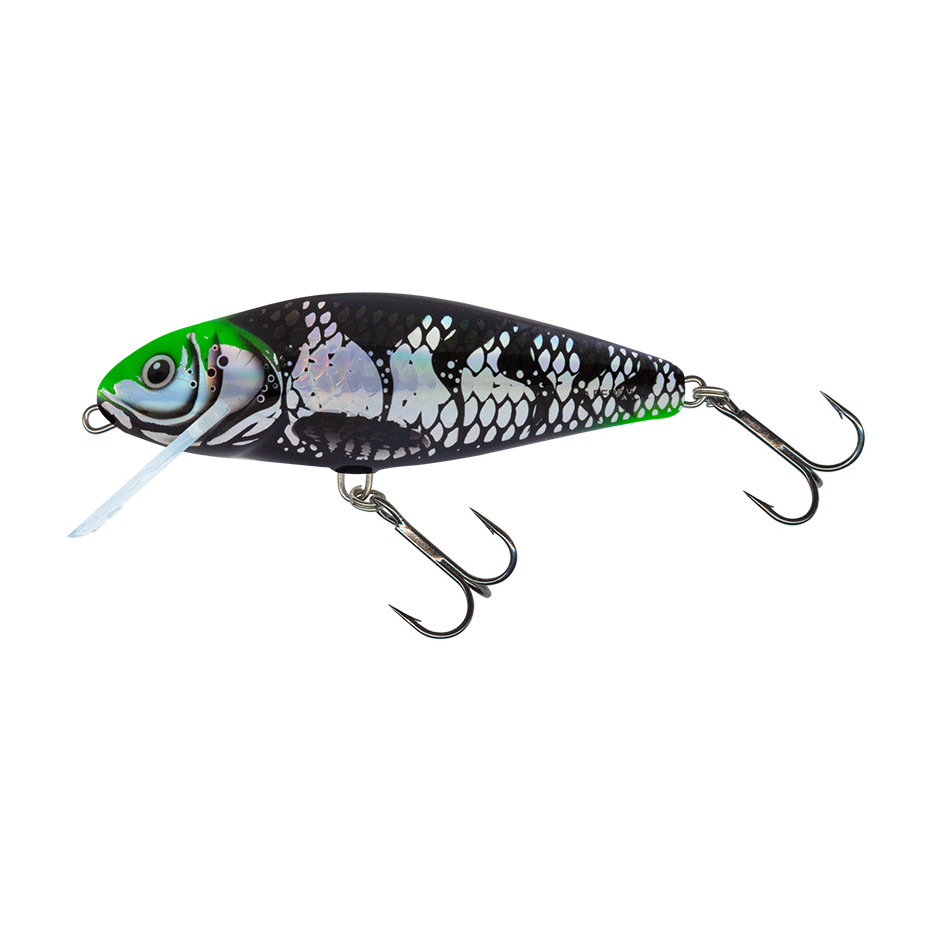 Wobbler Salmo Barsch Schwimmend 8cm
