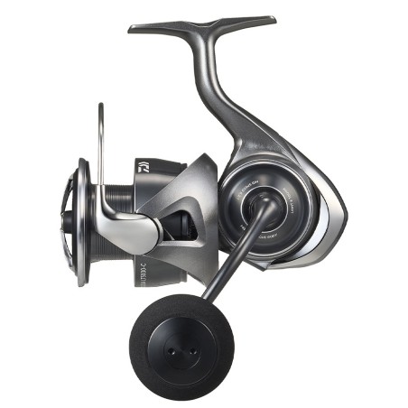 Spinnrollen Daiwa Caldia 25 LT