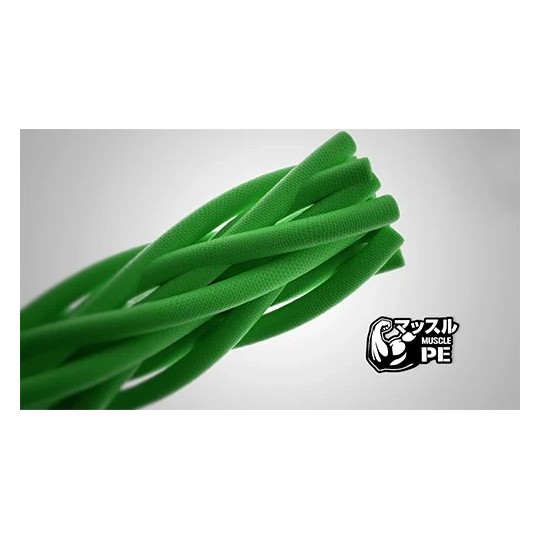 Geflochtene Angelschnur Daiwa Saltiga 12 Ex DuraSensor 400m