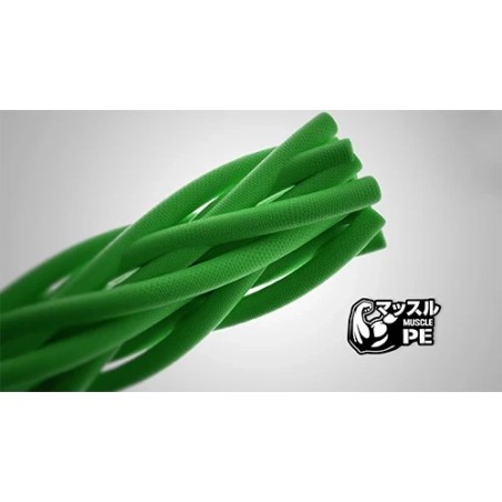 Geflochtene Angelschnur Daiwa Saltiga 12 Ex DuraSensor 400m