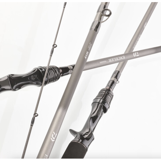 Canne Casting Daiwa Exceler 2025