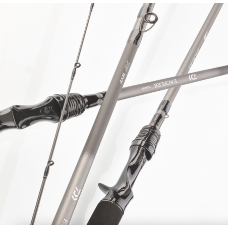 Caña Casting Daiwa Exceler 2025