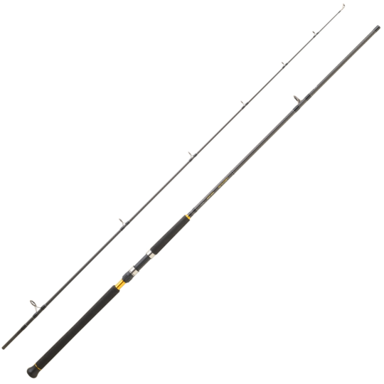 Spinnruten Daiwa Legalis Shore Jigging 2025