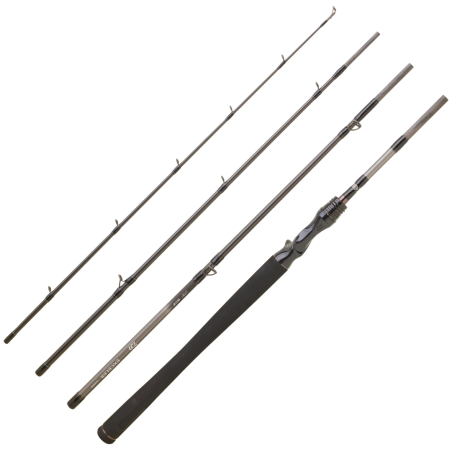 Casting Rod Daiwa Exceler Mobile 2025