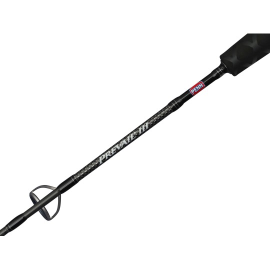Canne Spinning Penn Prevail III Jigging