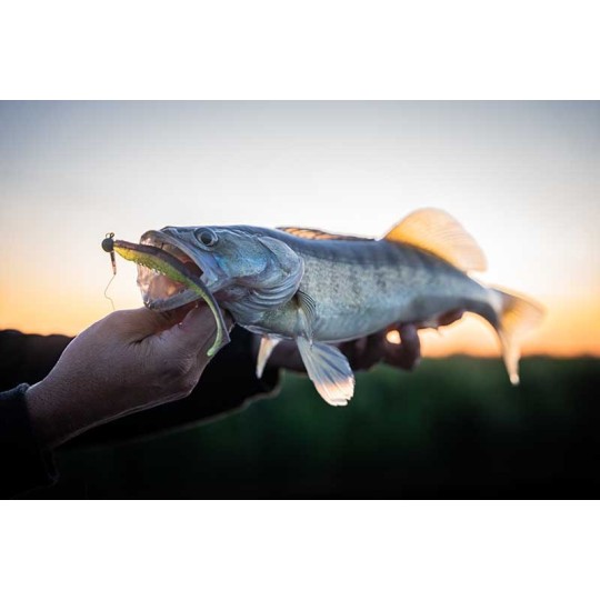 Soft Bait Fox Rage Scent Shads 13cm