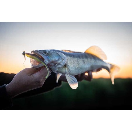 Gummifische Fox Rage Duft Shads 13cm