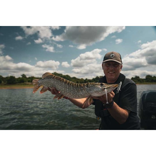 Soft Bait Fox Rage Scent Shads 13cm